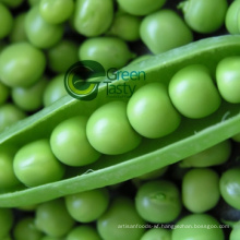 Wholesale Bulk Frozen Pea Pods